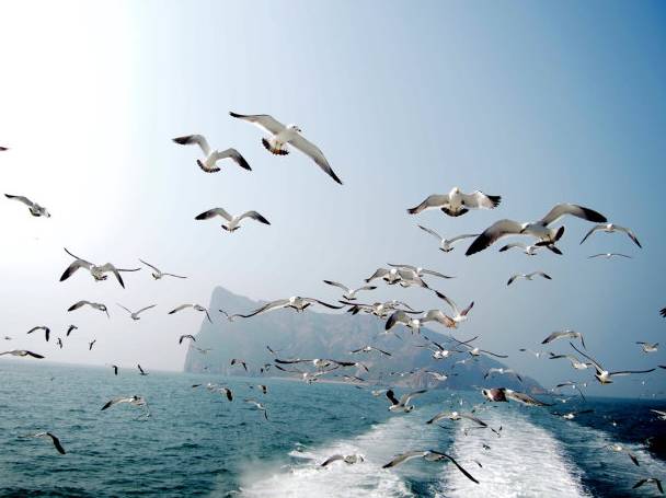 蓬莱是一个风景如画的地方,山东蓬莱有人间仙境吗