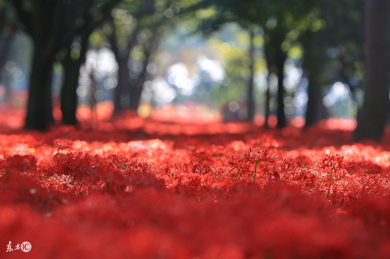 《江月》连载：他坏坏的，还精神分裂，却悄悄夺走了她的心！