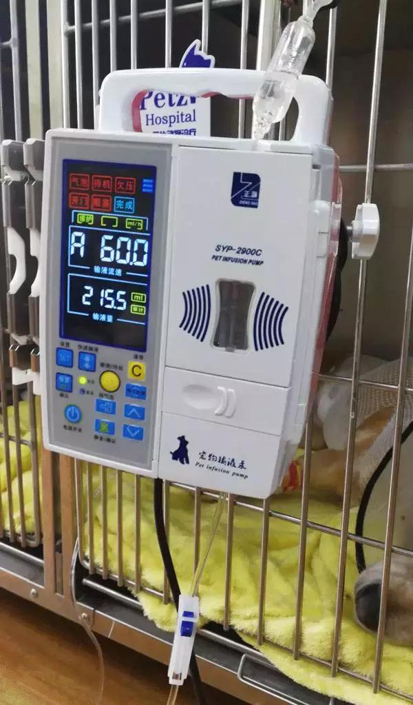 中国为什么没有正规的宠物医院,国内靠谱的宠物医院