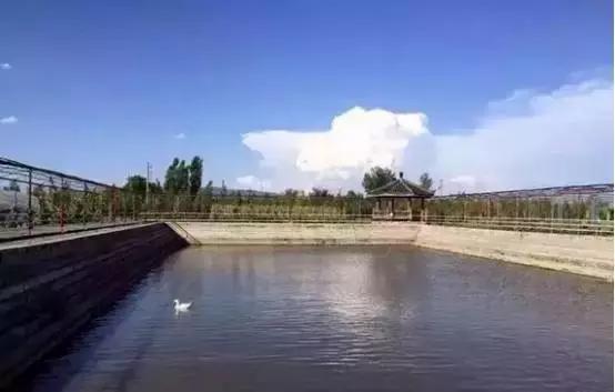 如果你的农庄是凤姐，如何把它打造成范冰冰？（附农庄改造案例）