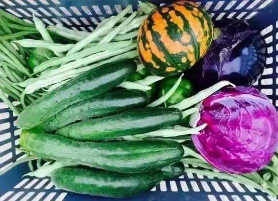 如果你的农庄是凤姐，如何把它打造成范冰冰？（附农庄改造案例）