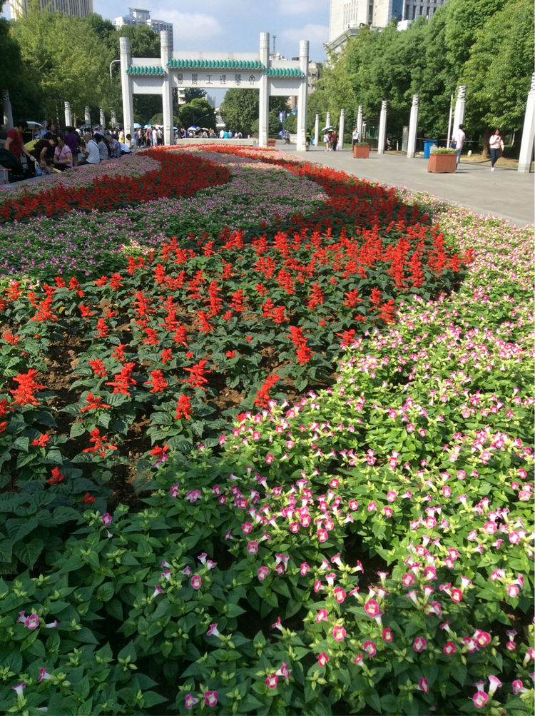 十大最美校园深圳大学,探访最美大学武汉大学