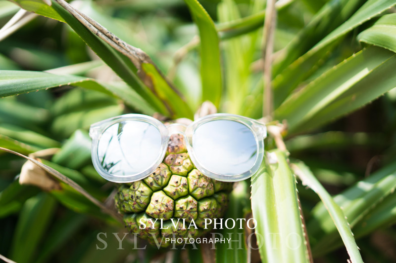 春节去三亚避寒攻略,冬天来三亚避寒