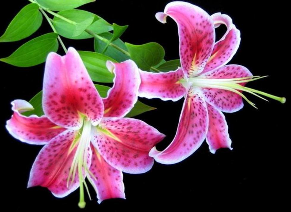 如果你现在很穷一定要做这几件事,在你最穷最困难的时候应该怎么做