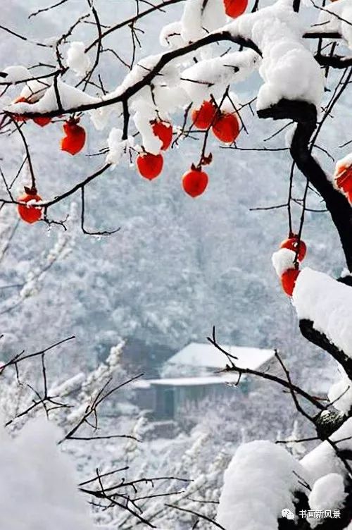 白里透红美颜,白里透红娇颜