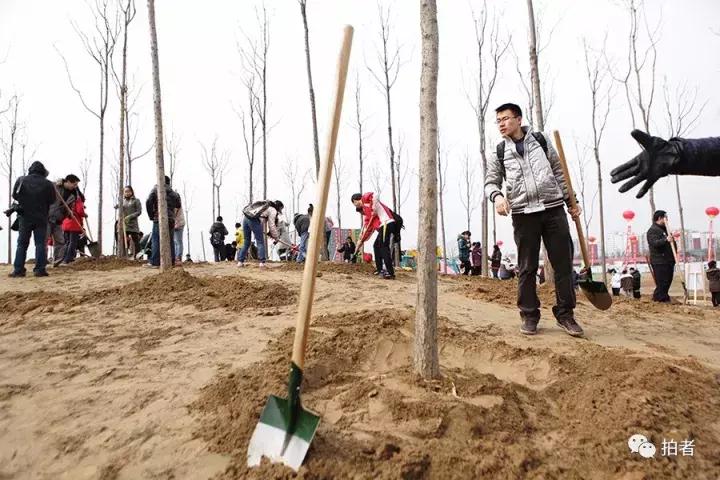 北京唐家岭旧貌,北京唐家岭事件