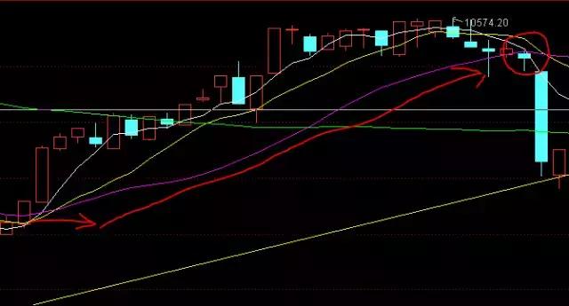 小财猫日常生活,小财猫
