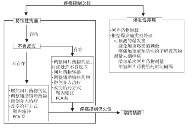 难治性癌痛的微创介入治疗有哪些,治疗癌性痛的偏方