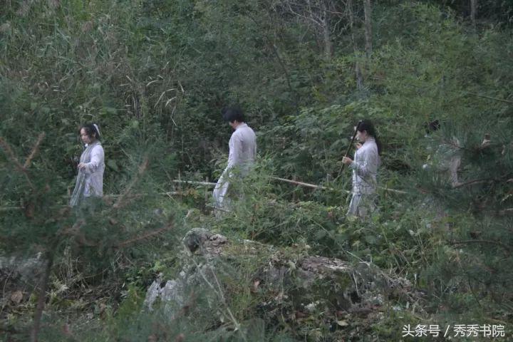 茶道养生全集视频,茶道养生课视频