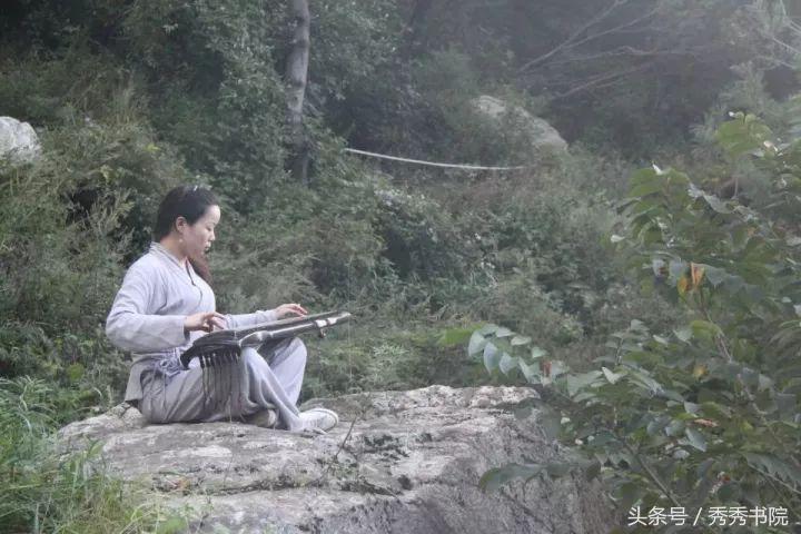 茶道养生全集视频,茶道养生课视频