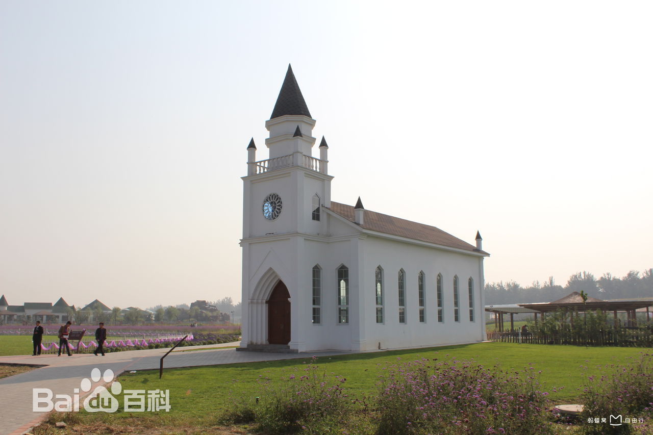 蓝调薰衣草庄园门票,蓝调薰衣草庄园月季花