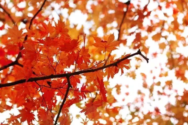 2019余额已不足这些事别忘了办,2022年余额不足