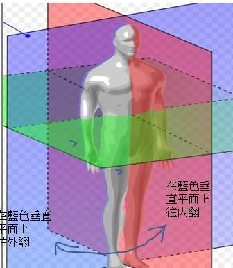 x型腿该如何改善o型腿,o型腿矫正纯干货分享