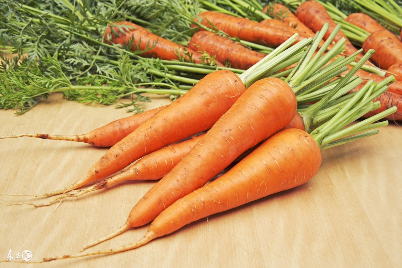 吃它们能够给我们带来不少的好处,吃什么瘦得最快