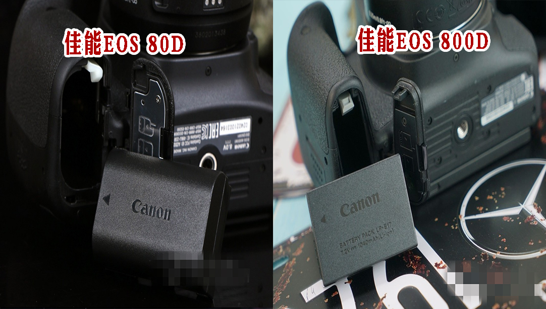 佳能单反EOS80D怎么样,佳能相机80d和800d哪个好