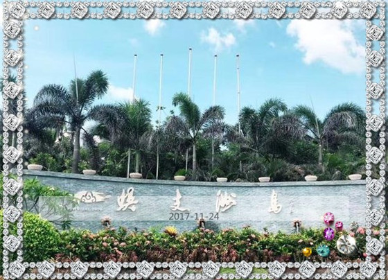 二货三亚五晚六天自由溜达