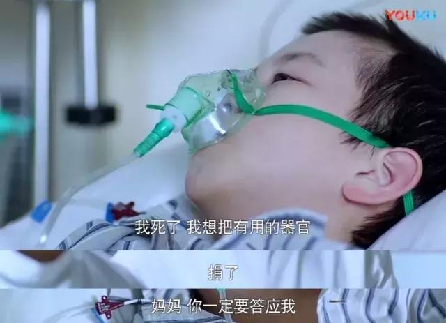 急诊科医生刘苗器官捐献,器官捐献宣教内容