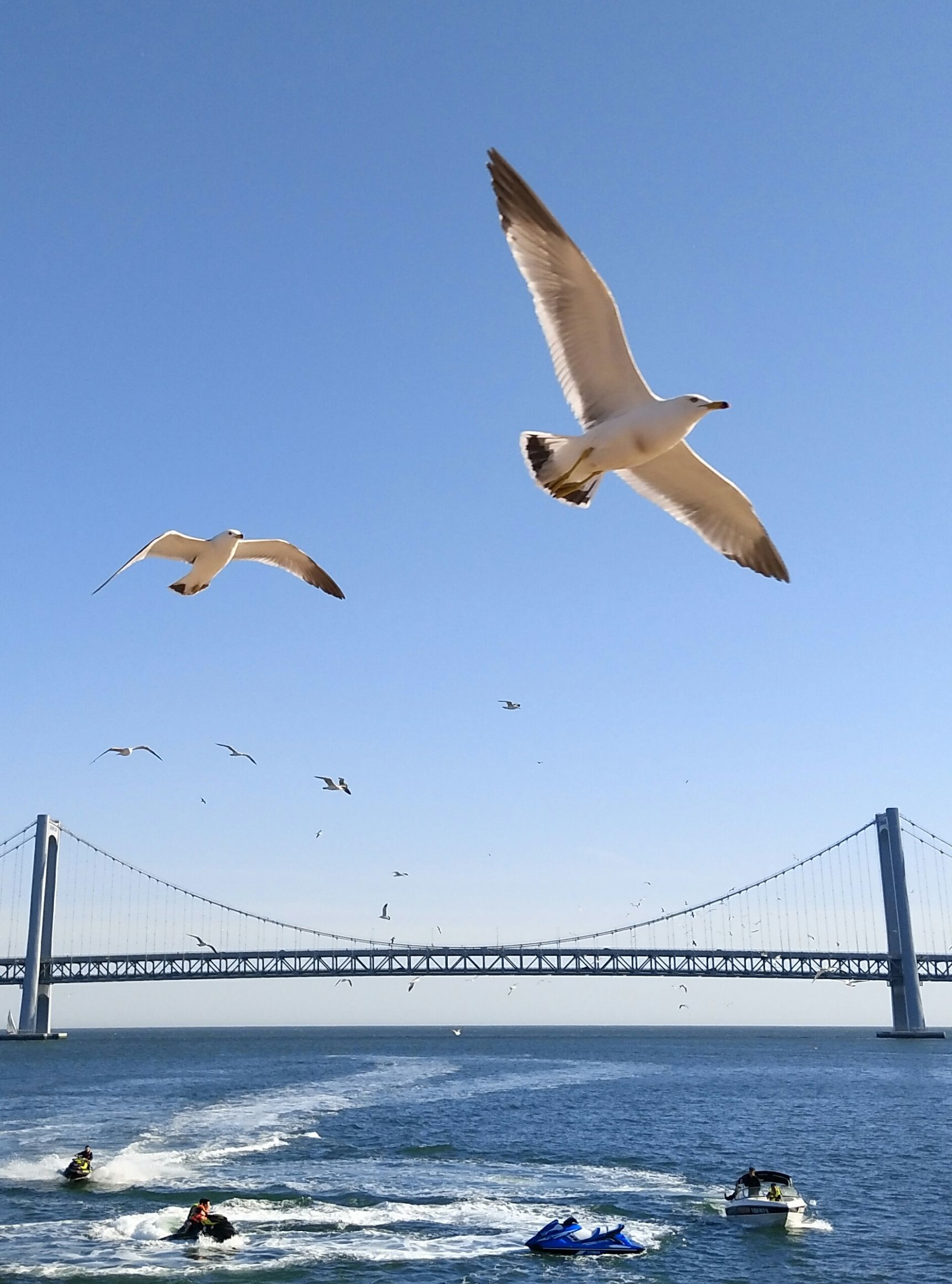 手拍世界（手机摄影交流平台）-群员作品集（第12期）