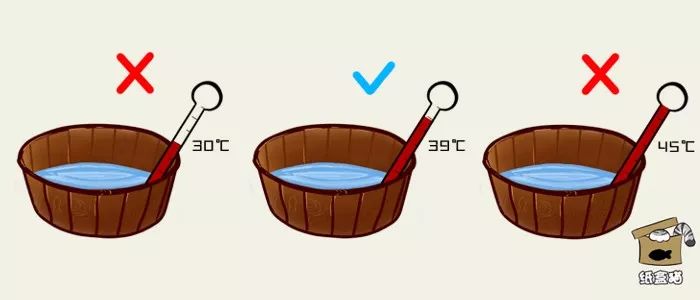 给猫咪洗澡要注意哪些,喵星人洗澡的正确方法