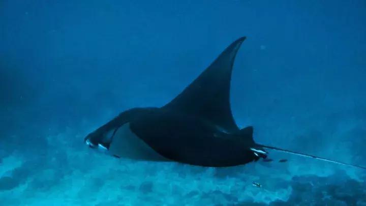 与火山对望的日子,巴厘岛阿贡火山2017年喷发
