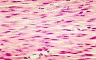 你知道吗，人体是由什么组成的？