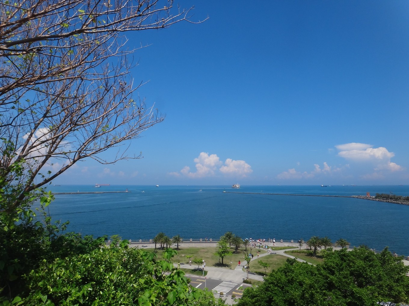 台湾环岛游15天跟团,台湾高雄六合夜市