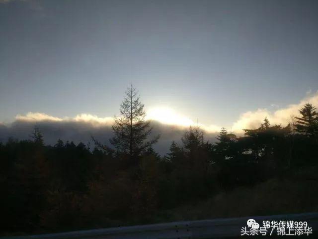 去日本旅游最全攻略,去日本旅游必看