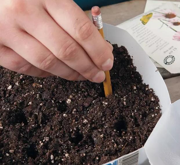 小瓶子手工制作小东西养花,省钱10大养花神器1个塑料瓶做出来