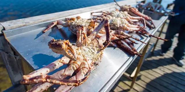 挪威行程规划视频,挪威旅行记录全集