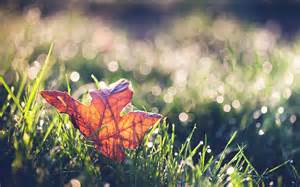 快速治疗湿疹的外用药,急性湿疹怎么快速治疗