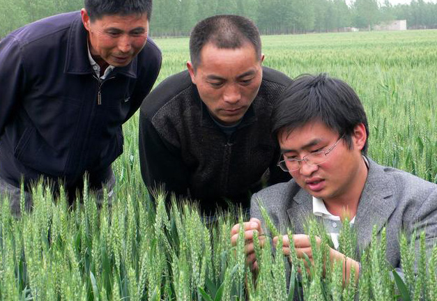 选调生和村官,发展前景有这五种区别!