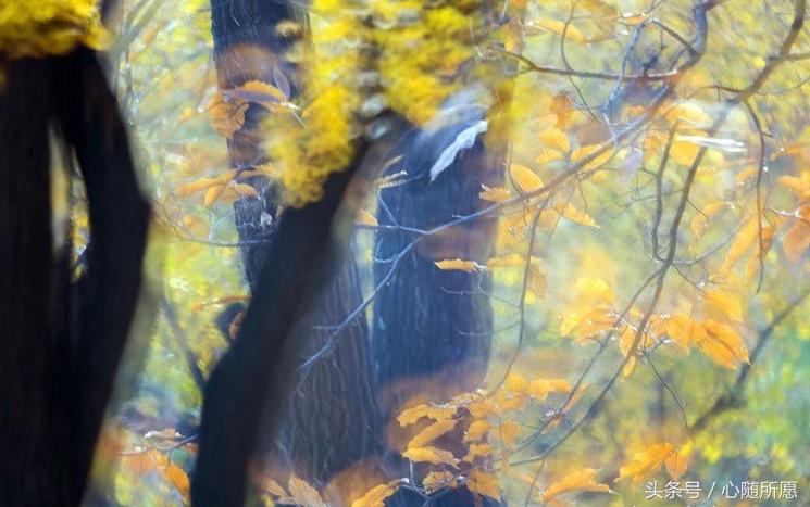 头痛牙痛肚子痛,头痛肚子痛全身无力吃什么药