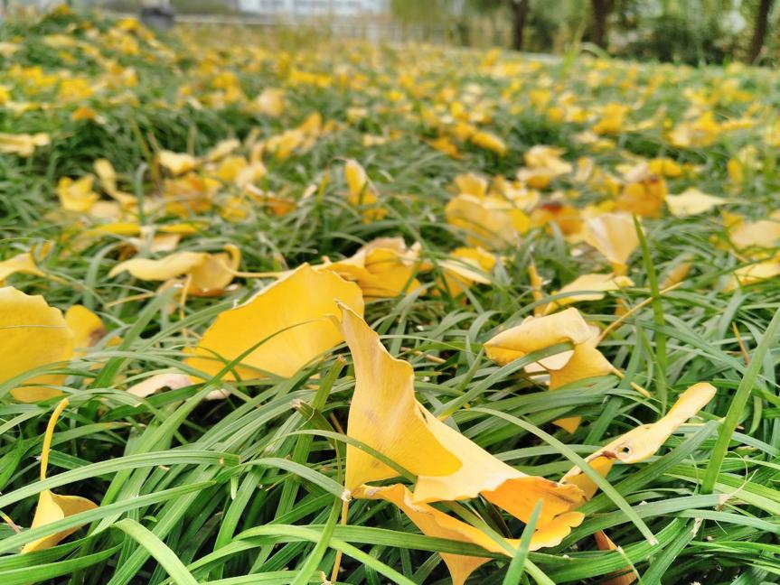 坚果PRO2测评,坚果pro2开不了机