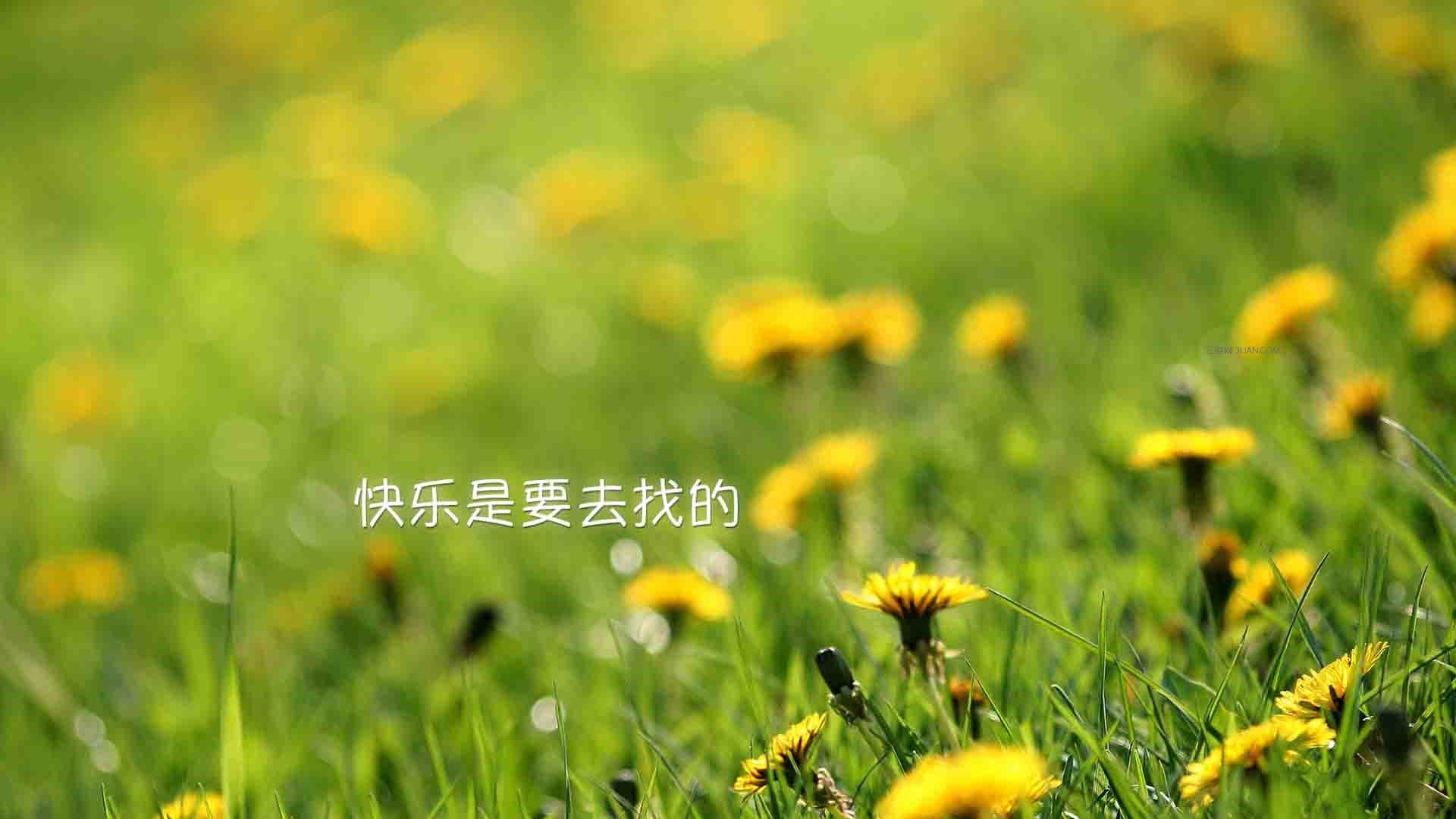 盐遇见了伤口怎么办,用盐消毒伤口