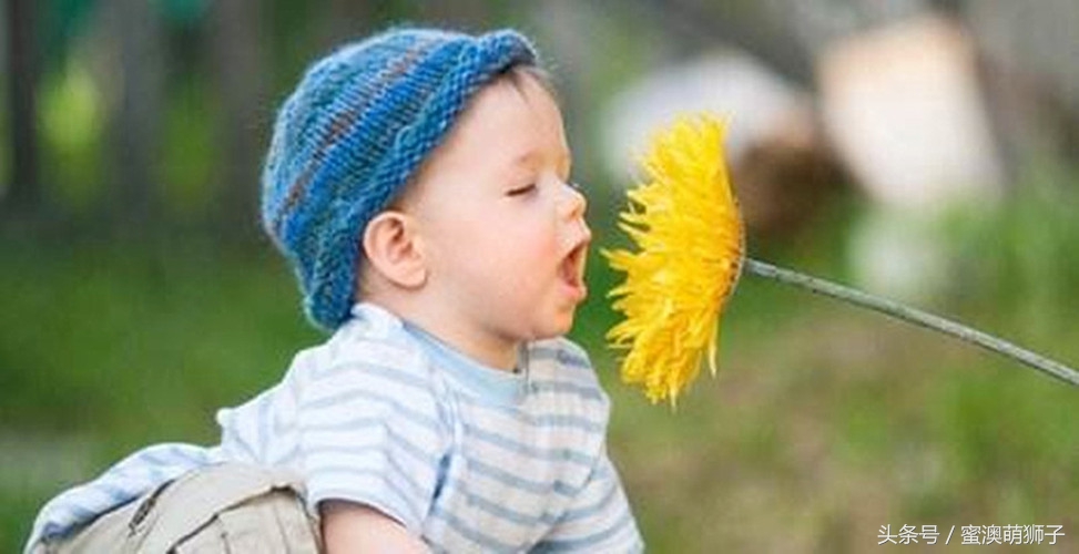 爱他美1段德国和澳洲版区别,德国澳洲英版爱他美的区别