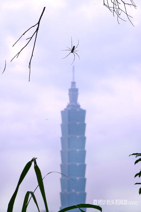 在台北101大楼看台北全景,在台北101大楼顶层看视频