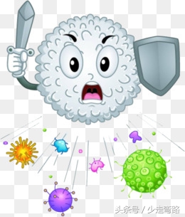 化疗后白细胞下降的食疗方法,化疗白细胞低吃什么保健品好