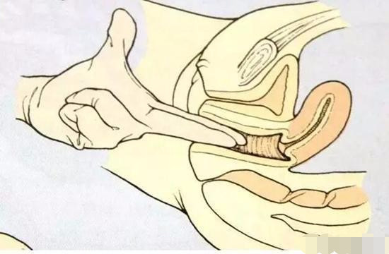 分娩最痛苦的时间多久,第一次分娩宫口开十指需要多久