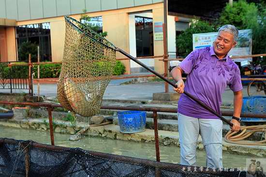 来肇庆端州旅游去哪玩,去肇庆市旅游带什么手信