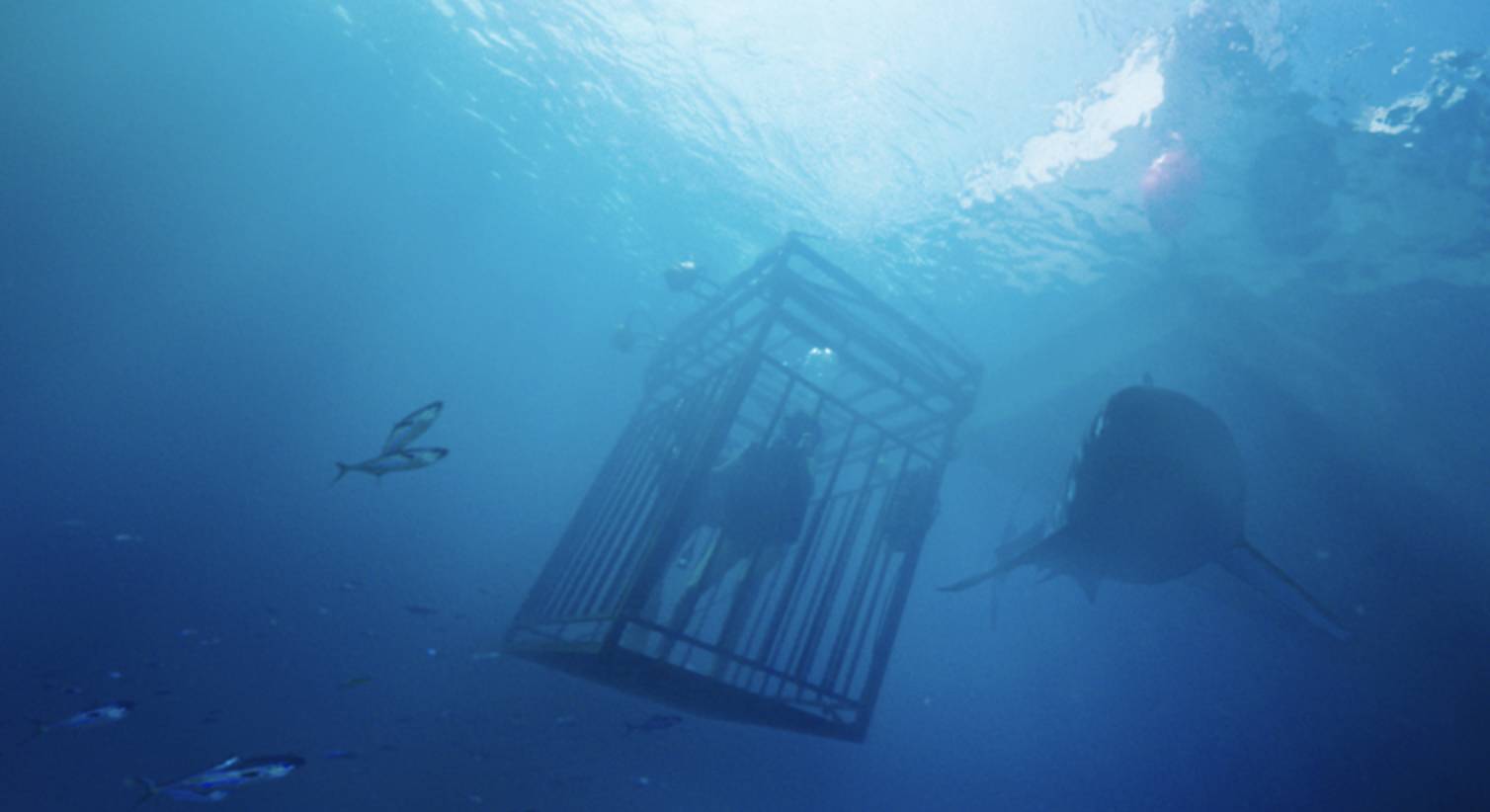 7月好片,6月好片