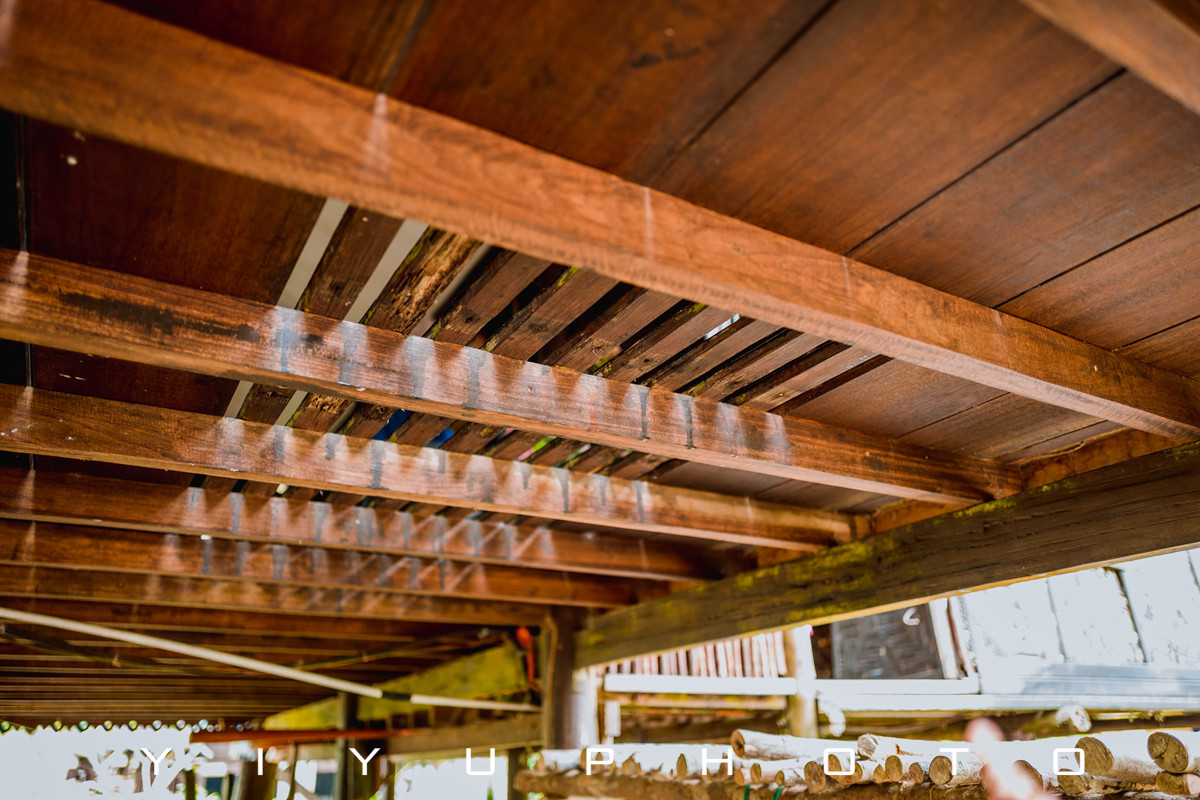 悠游一夏，马来西亚——六日自由行攻略