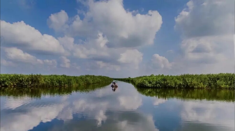 张店好消息,淄博十大小镇排名