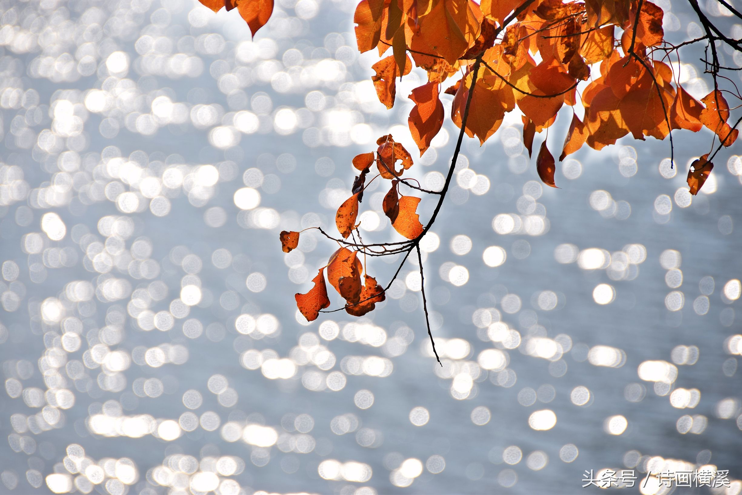 金华登山景点,金华适合爬山景点排名