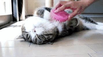 20块和100块的区别,20块和200块钱高光的区别