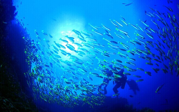 从哪个国家去马尔代夫最容易,马尔代夫是在哪个国家消费