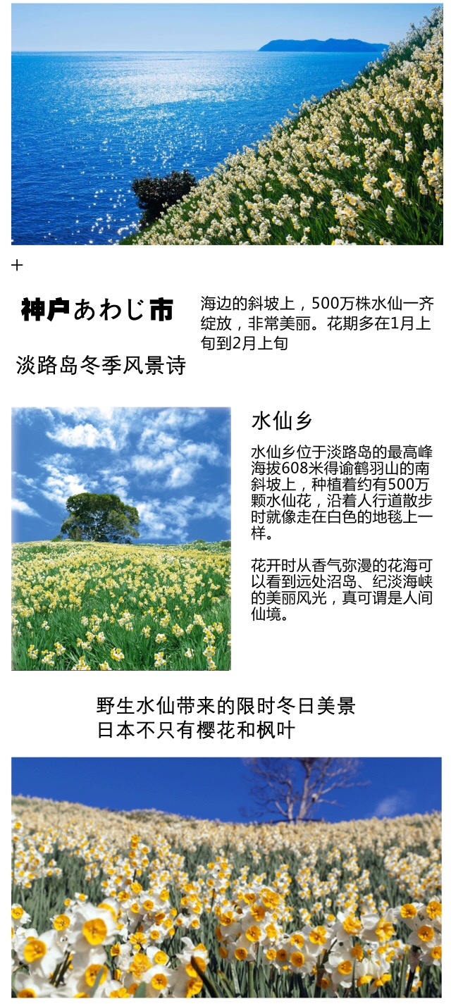 日本值得玩的地方排行榜,日本值得一去的十大景区