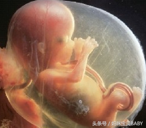 怀孕十三周胎儿长多大啦？孕妈妈是不是就进入安全期了