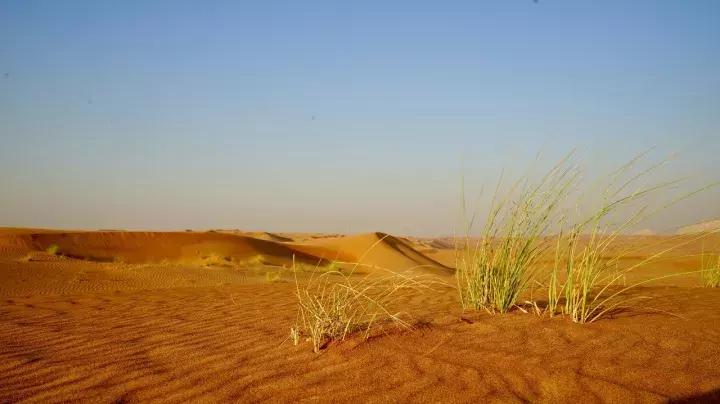 刺激害怕的游乐项目,必去的主题乐园