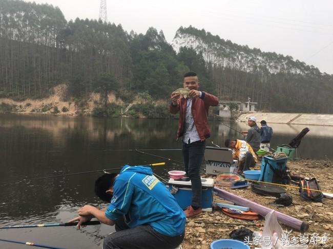 奔横县只为巴西雕，遇降温无奈成掐鲤