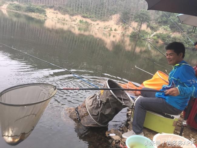 奔横县只为巴西雕，遇降温无奈成掐鲤